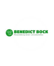 Benedict Bock Garten- und Landschaftsbau Bild 2