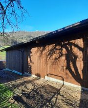 Viktor Anliker Bedachungs GmbH Bild 1