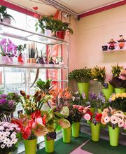 Le Langage Des Fleurs image 20