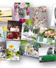 F B Diffusion SARL image 1