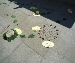Altmühltaler Abenteuerpark Bild 15