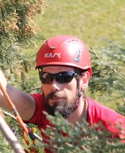 Spycher Baumpflege GmbH Bild 3