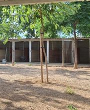 Adiestramiento Córdoba imagen 1