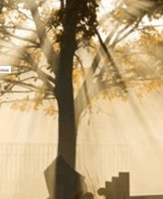 Beerdigungsinstitut Bürgin + Thoma Bild 1