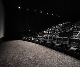 CINESA LUXE GARBERA imagen 6