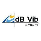 Dbvib Consulting