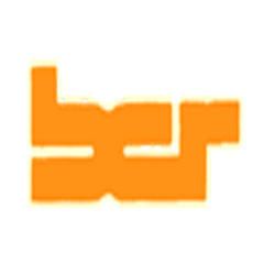 Bcr Srl logo