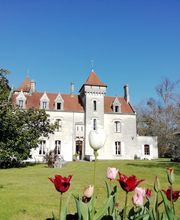 Château Des Salles image 2