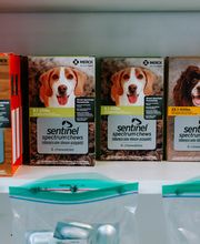 Twin Oaks Veterinary Clinic image 6