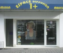 Salon 1+Diffusion image 2