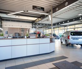 STERNAUTO Bild 2