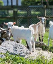 Neuhaus Wohn- und Pflegezentrum Bild 10