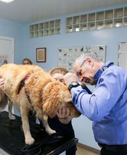 Rye Harrison Veterinary Hospital image 14