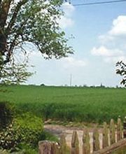 Pépinières et Paysages Brotonne SARL image 1