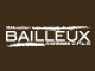 Bailleux Sébastien