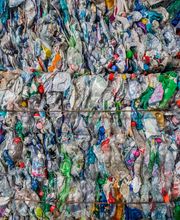 Gallery Professionale