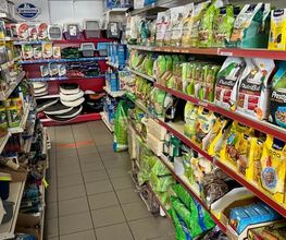 Qua la Zampa di Alessia Milani Termini Bild 6