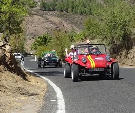 _copie-0_DSC01274.jpg