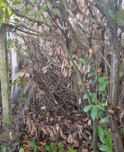 Bouche Nicolas image 16