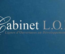 Cabinet L.O.D image 11