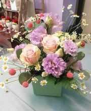 Gallery Cliente