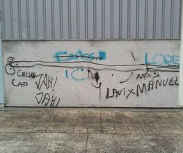 Linocor imagen 14