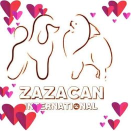 Logo_Zazacan.jpeg