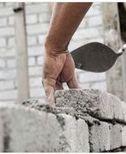 Parisel Norbert image 2