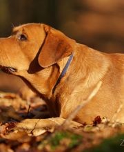 Tanja Wiedenmann Bild 12