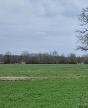 Sitz Platz Komm Hundeschule Marion Hans Bild 3