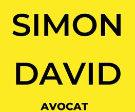 Simon David image 2