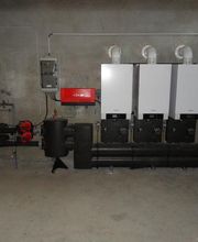 Guiot-Violette image 13