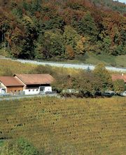 Speiserestaurant Maienhalde Bild 7