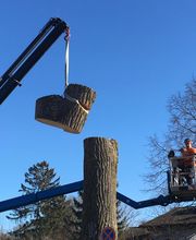 Trinkgeld GmbH Garten- & Landschaftsservice Bild 2
