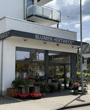 Blumen Hertweck Bild 1