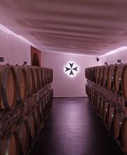 CANTINA IL CAVALIERE SA Bild 2