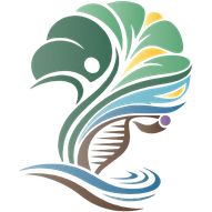 Denise Spiegel - Praxis für Gesundheit & Prävention