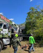 Life's Tree Doctor, LLC image 10