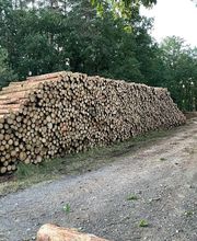 Exploitation Forestière Chanal Eric EFCE image 6