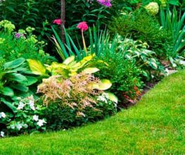 354652-jardineria-casanova-banner.jpg
