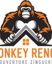 Monkey Renov image 1
