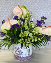 Gallery Cliente