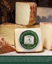 Todis - Supermercato (Montalto Uffugo - Via B. Croce) immagine 1