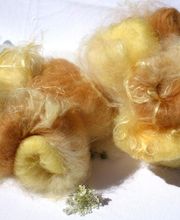 Un mouton dans l'Herbe image 8