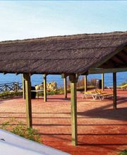 bifesa-madera-tratada-04.jpg