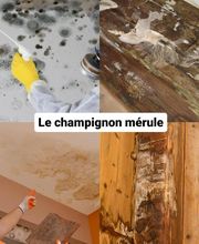 F3P - France Protection Plus pour Patrimoine Cognac image 5