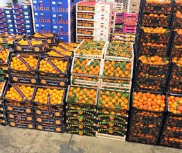 Expo Fruits image 1