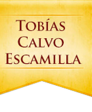 LOGOTOBIASCALVO.png
