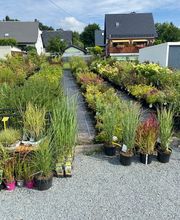 Baumschule Feustel Bild 2