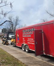 Whitledge Tree Service LLC image 8